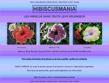 Tablet Screenshot of hibiscusmania.com